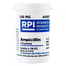 Ampicillin (100mg/ml solution) Ampicillin (100mg/ml solution)